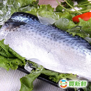 【買新鮮】省產鯖魚一夜干40片(130±10%/片)