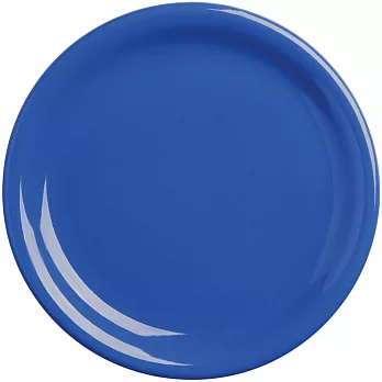 《EXCELSA》Fashion陶製淺餐盤(藍19.5cm)