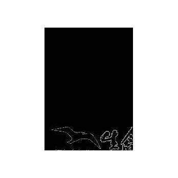 小丑的創造藝術－完形學派的自我治療