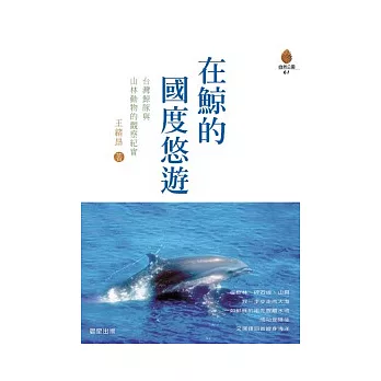 在鯨的國度悠遊