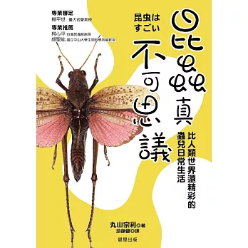 昆蟲真不可思議：比人類世界還精采的蟲兒日常生活 | 拾書所