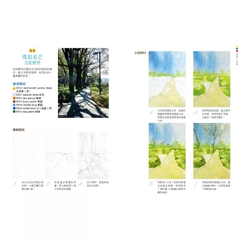 零基礎水彩畫教室2 讓草木花果丶公園森林都隨心所欲寫意入畫 拾書所
