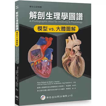 解剖生理學圖譜：模型vs.大體圖解