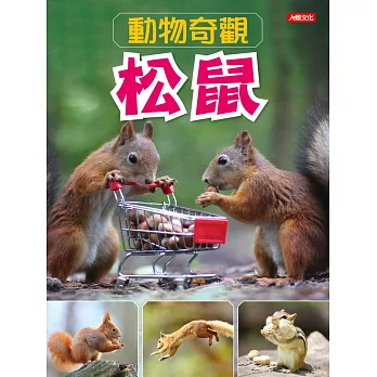 動物奇觀：松鼠