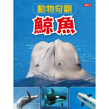 動物奇觀 : 鯨魚 /
