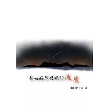 劃破寂靜夜晚的流星……