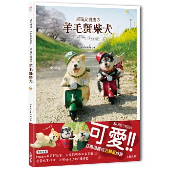 呆萌又俏皮の羊毛氈柴犬 :  網友讚爆!比本尊更可愛! /