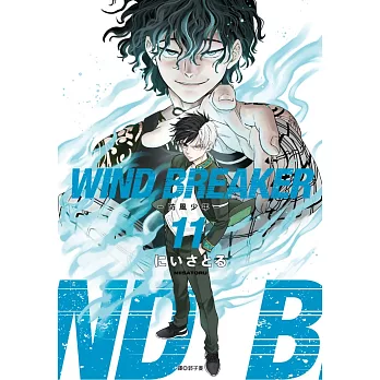WIND BREAKER—防風少年—(11)