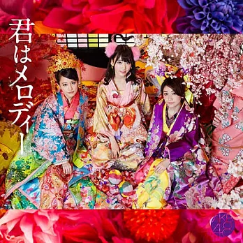 AKB48 / 你就是旋律〈Type-D〉(CD+DVD)