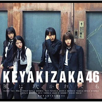 欅坂46 / 就算風吹【Type B CD+DVD】