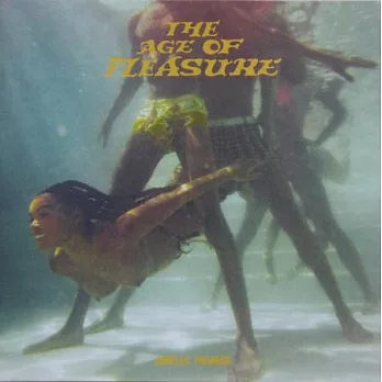賈奈兒夢內 / The Age Of Pleasure