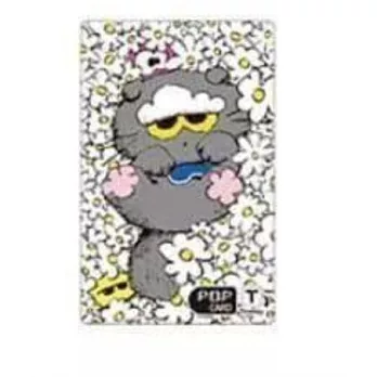 官方週邊商品 ZOA T MONEY TRANSPORTATION CARD 交通卡 G-DRAGON GS25通路 香氣花園款 (韓國進口版)