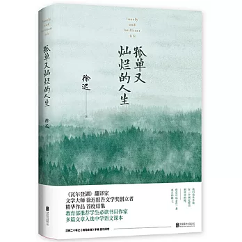 孤單又燦爛的人生