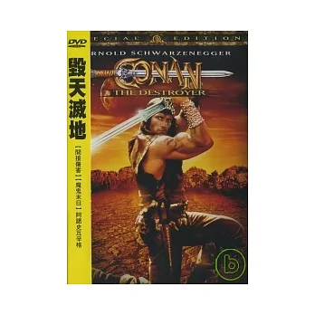 毀天滅地 DVD