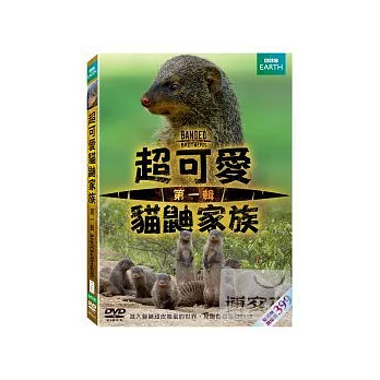 超可愛貓鼬家族1 DVD