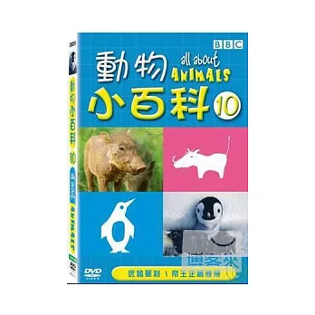 動物小百科10 DVD