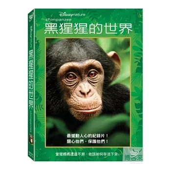 黑猩猩的世界 DVD