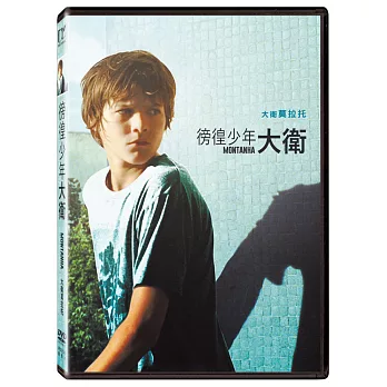徬徨少年大衛 (DVD)