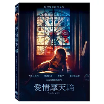愛情摩天輪 (DVD)