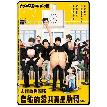 烏龜的殼其實是肋骨   DVD