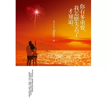 你有多重要，我怎麼失去了才知道 (電子書)