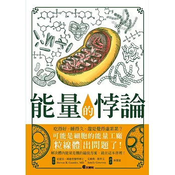 能量的悖論：失去幹勁時該怎麼辦 (電子書)