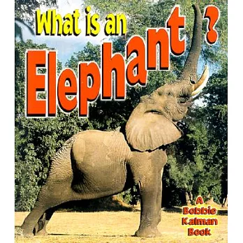 What is an elephant? /