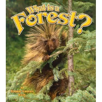 What is a forest? /