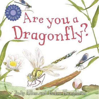 Are you a dragonfly?