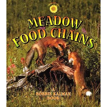 Meadow food chains /