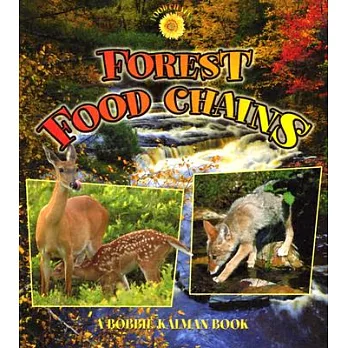 Forest food chains /