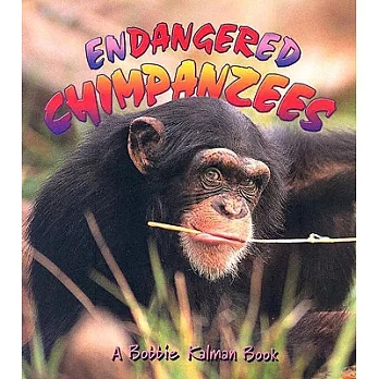 Endangered chimpanzees /