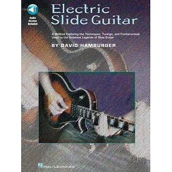 Electric Slide Guitar