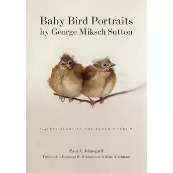 Baby Bird Portraits /  Watercolors in the Field Museum: Watercolors in the Field Museum