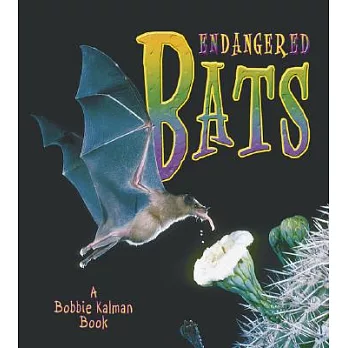 Endangered bats /