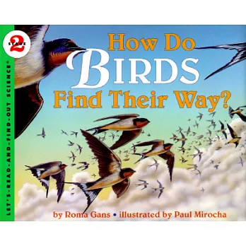 How do birds find their way?