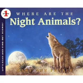 Where are the night animals?