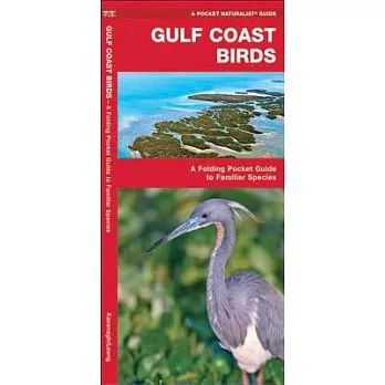 Gulf Coast Birds: An Introduction to Familiar Species