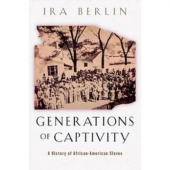 Generations of captivity : a history of African-American slaves /