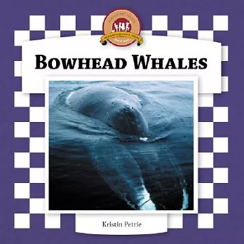 Bowhead whales /