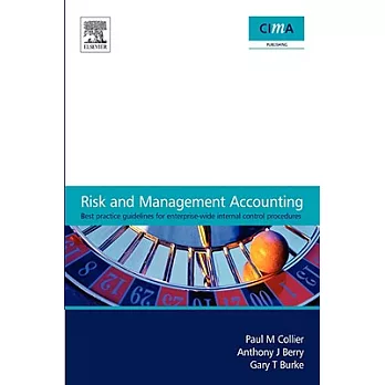 Risk and Management Accounting: Best Practice Guidelines for Enterprise-wide Internal Control Procedures