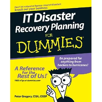 It Disaster Recovery Planning for Dummies