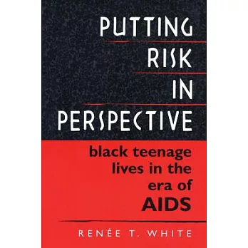 Putting Risk in Perspective: Black Teenage Lives in the Era of AIDS