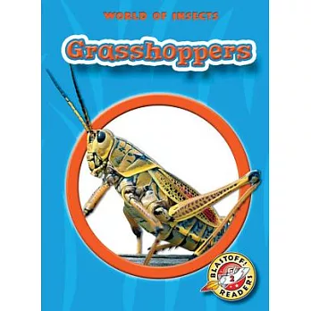 Grasshoppers /