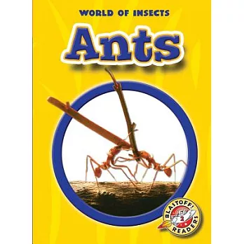 Ants /