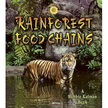 Rainforest food chains /