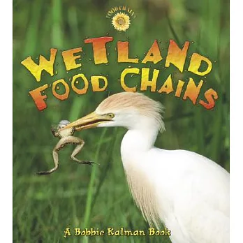 Wetland food chains /