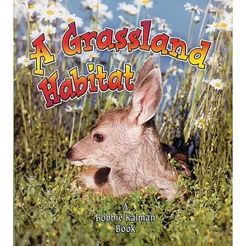 A grassland habitat /