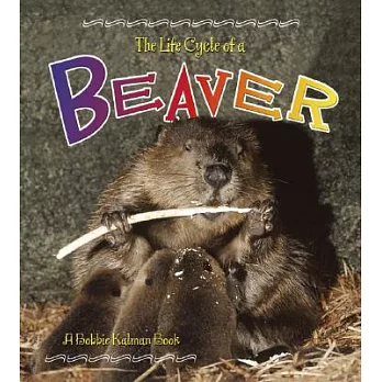 The life cycle series : The life cycle of a beaver /