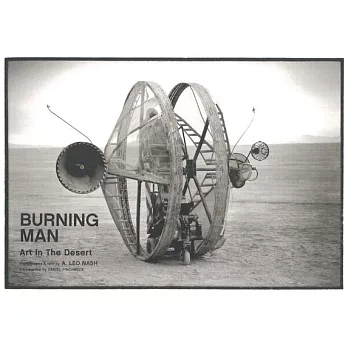 Burning Man: Art in the Desert